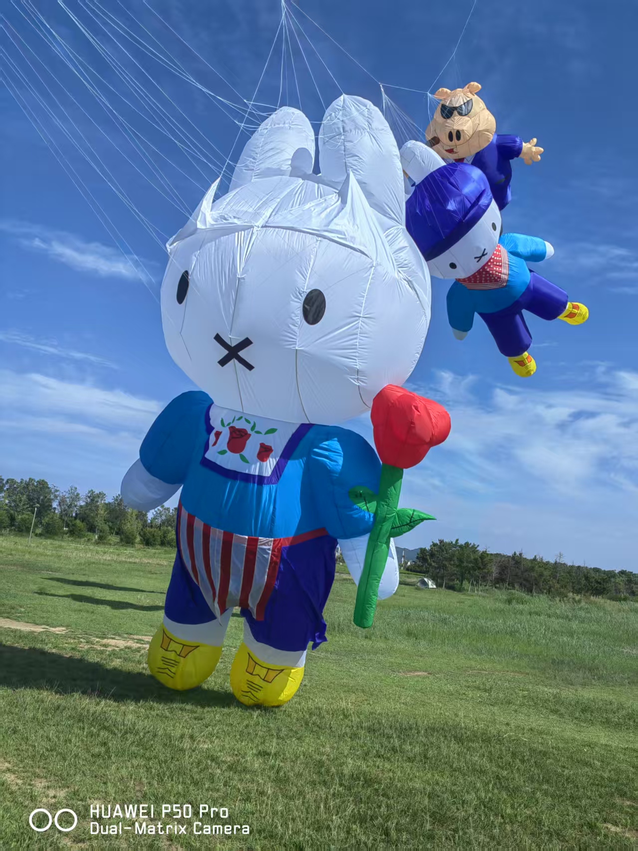 梅州市儿童风筝定制风筝批发 - 厂家